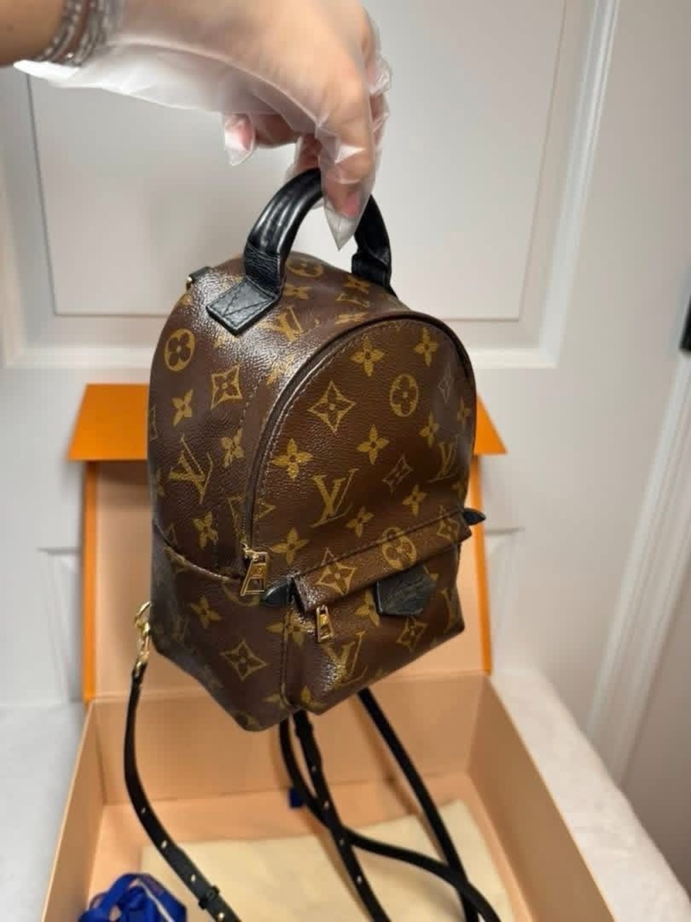 Louis Vuitton Monogram Mini Backpack in Brown and Black